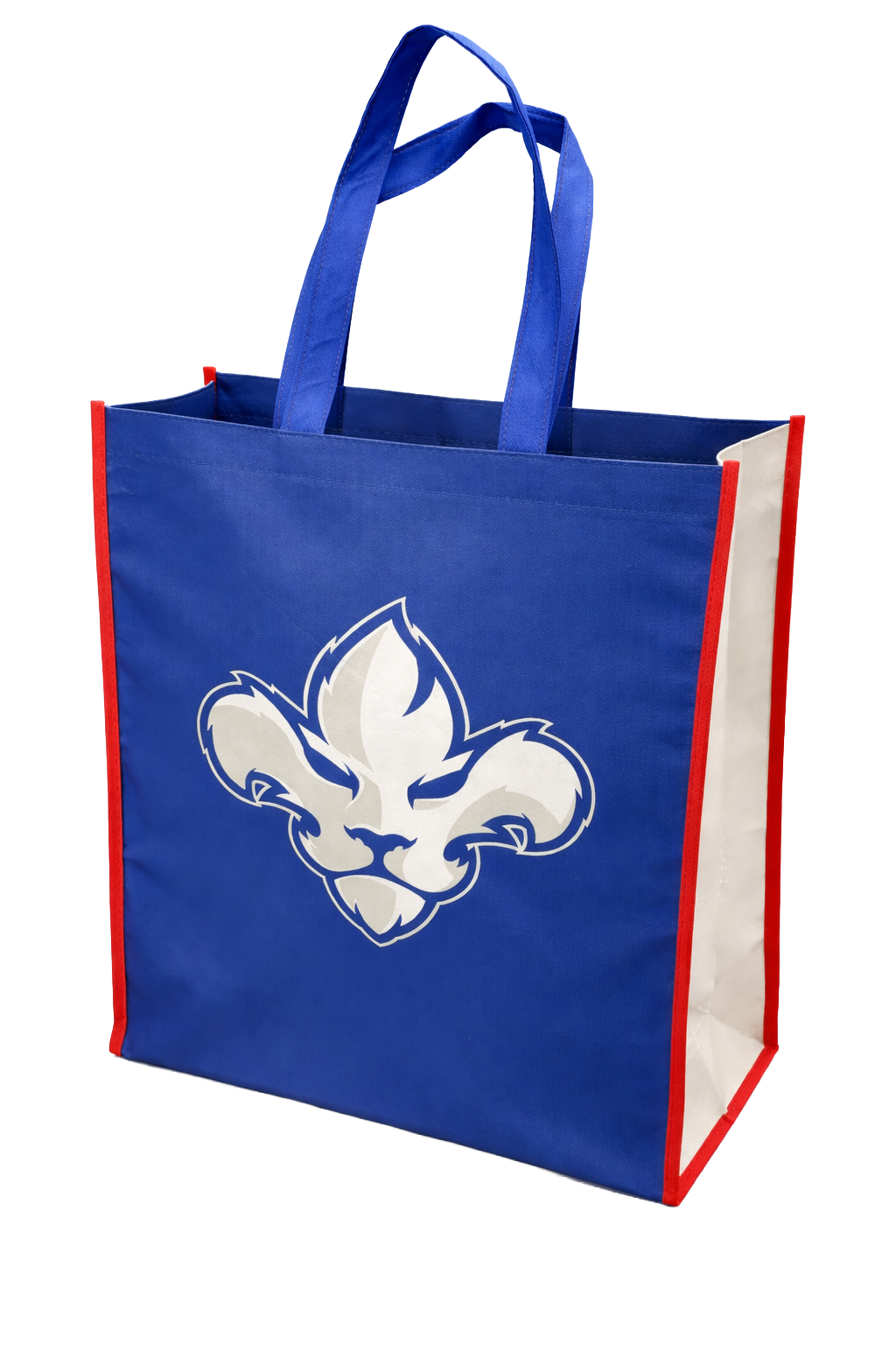 Sac réutilisable